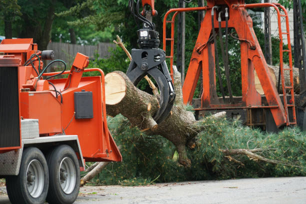 Mulching Services in Grantsburg, WI